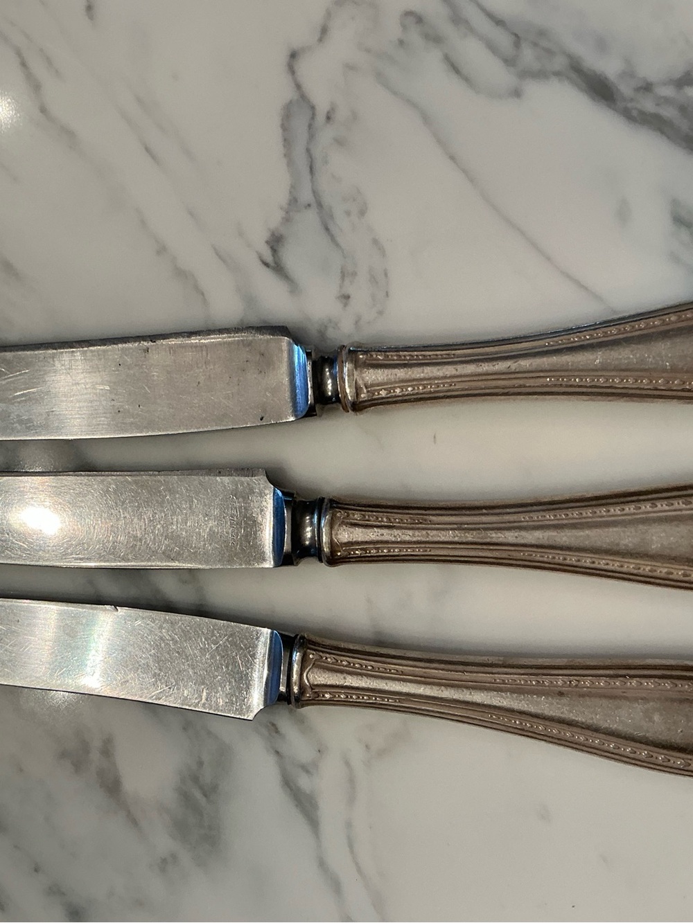 ROSTFREI EUROPEAN Stainless Dinner Knife Set - Silver